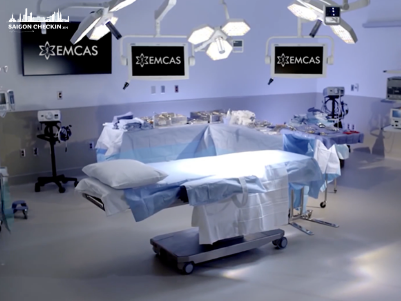 top-5-dia-chi-truyen-te-bao-goc-tre-hoa-uy-tin-tai-tphcm-3