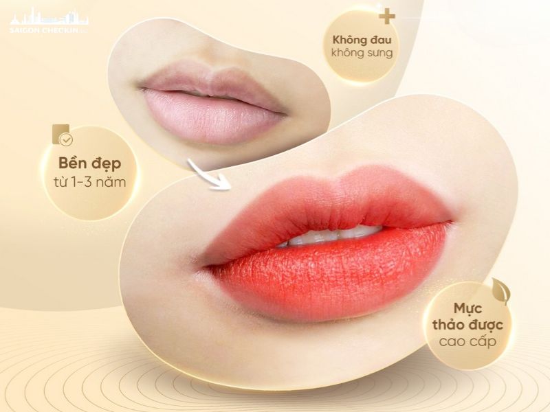 top-dia-chi-phun-moi-dep-o-tphcm-collagen-baby-lips-tao-duoc-9