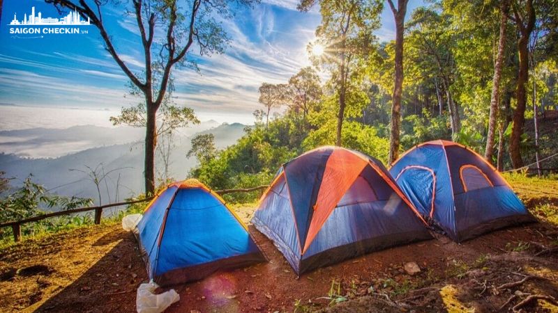 danh-sach-dia-chi-thue-leu-cam-trai-tphcm-gia-re-uy-tin-da-dang-kich-co-2