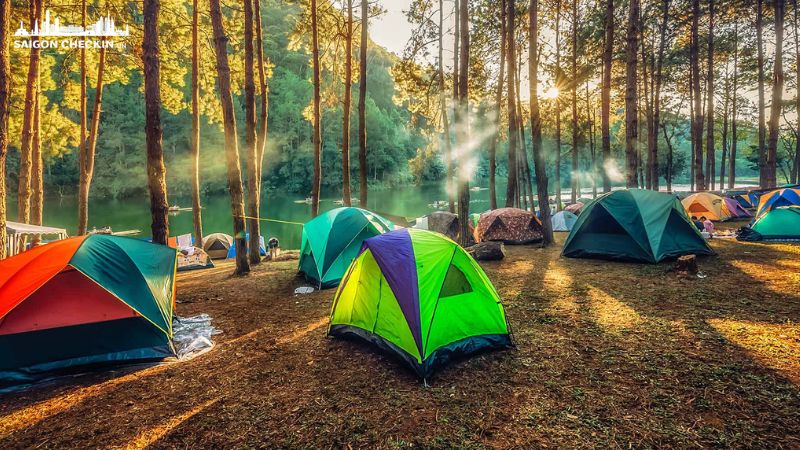 danh-sach-dia-chi-thue-leu-cam-trai-tphcm-gia-re-uy-tin-da-dang-kich-co-7