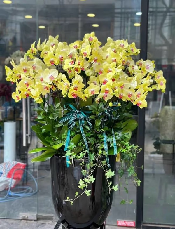 danh-sach-shop-hoa-tuoi-tai-ben-tre-giao-hoa-tan-noi-uy-tin-5