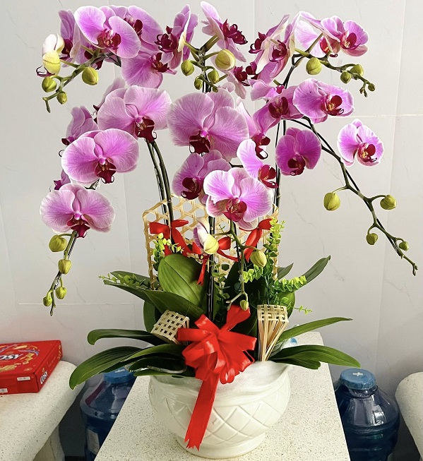 danh-sach-shop-hoa-tuoi-tai-dong-thap-giao-hoa-tan-noi-uy-tin-1