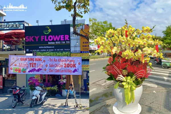 Sky Flower