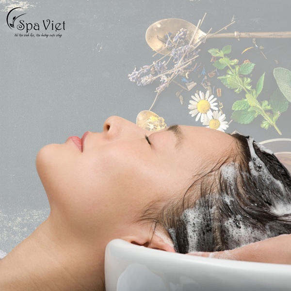 Spa Việt – Gội thảo dược kết hợp bấm huyệt đầu
